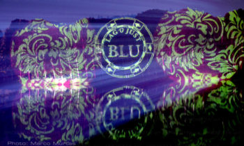 Projection de logos et de textes sur le feuillage des plantes