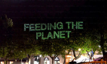 Projection de logos et de textes sur le feuillage des plantes