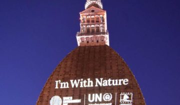 projections_mole_torino