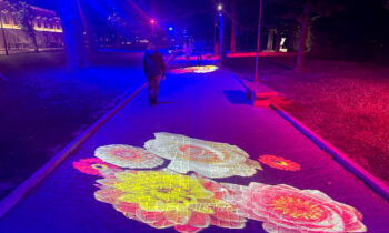 Projections au sol de logos et d'éléments graphiques décoratifs