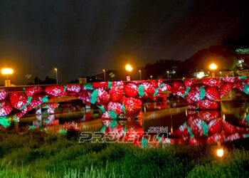 Projections sur les ponts