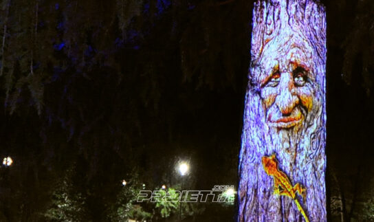 Albero Parlante