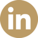 in-icon-2